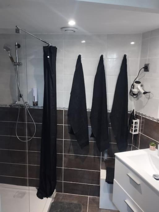 Appartement Coeur De Ville! Foix Dış mekan fotoğraf