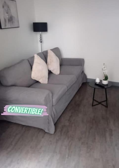 Appartement Coeur De Ville! Foix Dış mekan fotoğraf